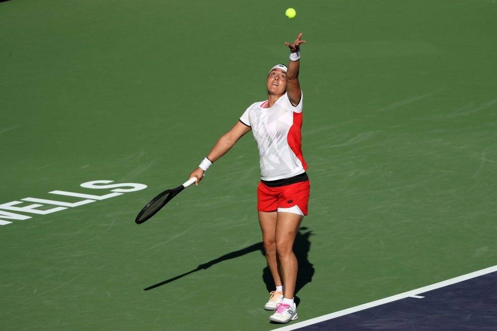 并在培养新 并在培养新